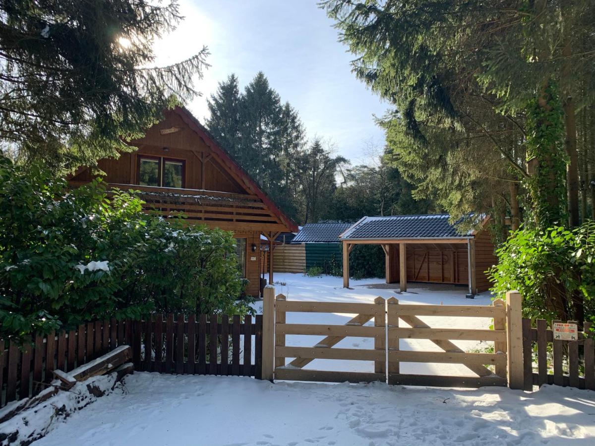 'T Holten Huus - Puur Genieten In Het Bos. Norg Exterior foto