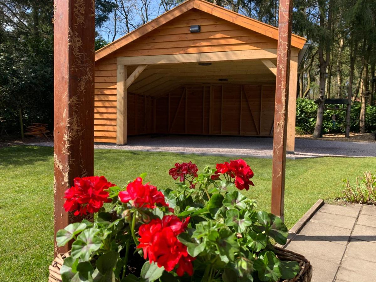 'T Holten Huus - Puur Genieten In Het Bos. Norg Exterior foto