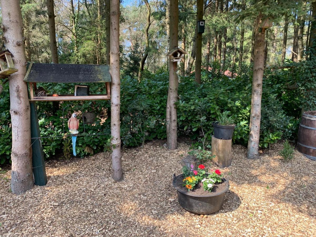 'T Holten Huus - Puur Genieten In Het Bos. Norg Exterior foto