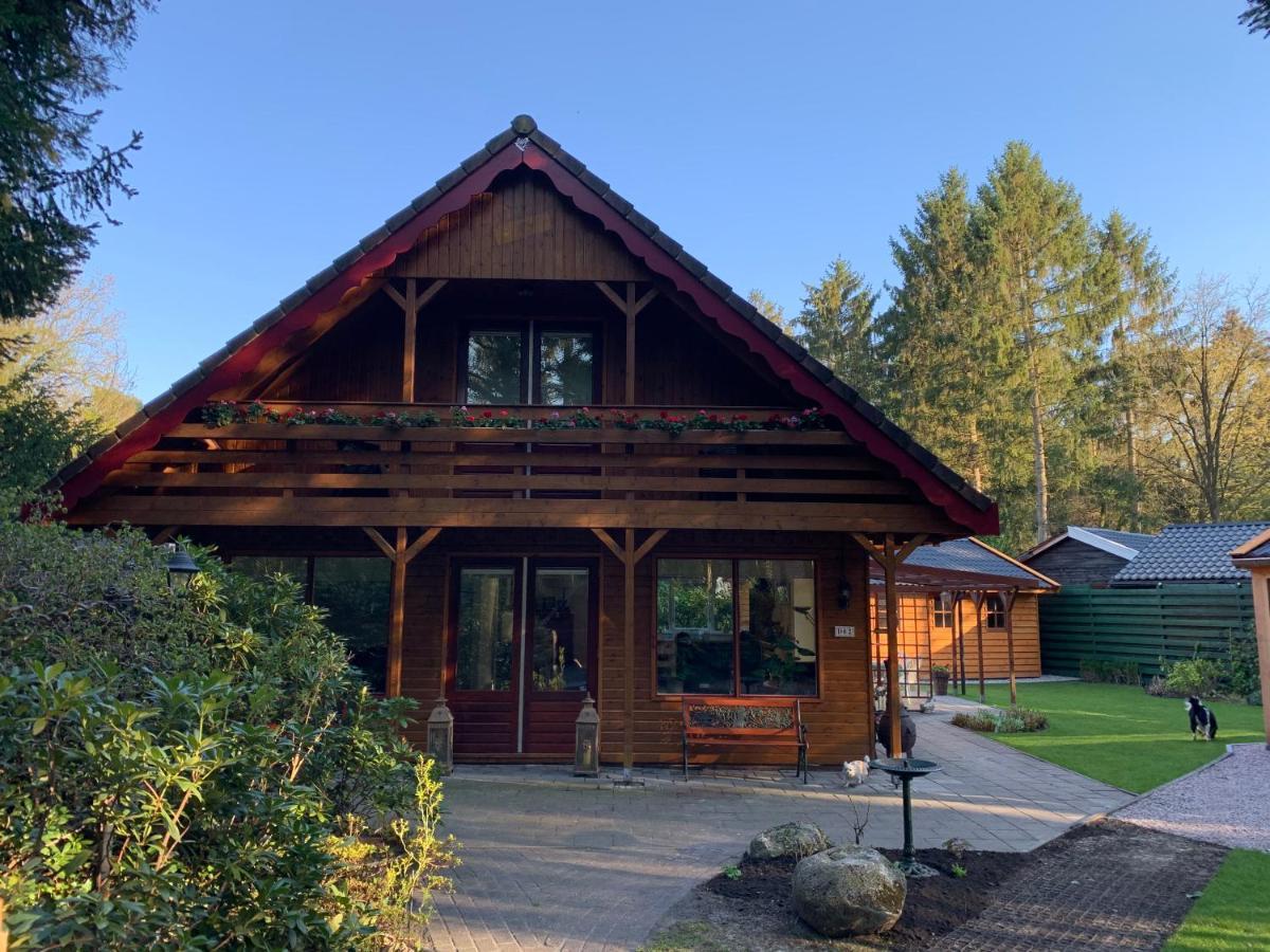 'T Holten Huus - Puur Genieten In Het Bos. Norg Exterior foto