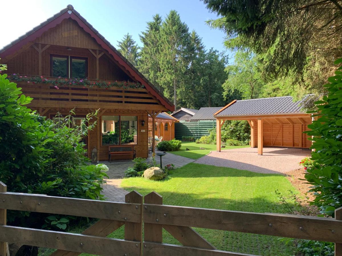 'T Holten Huus - Puur Genieten In Het Bos. Norg Exterior foto