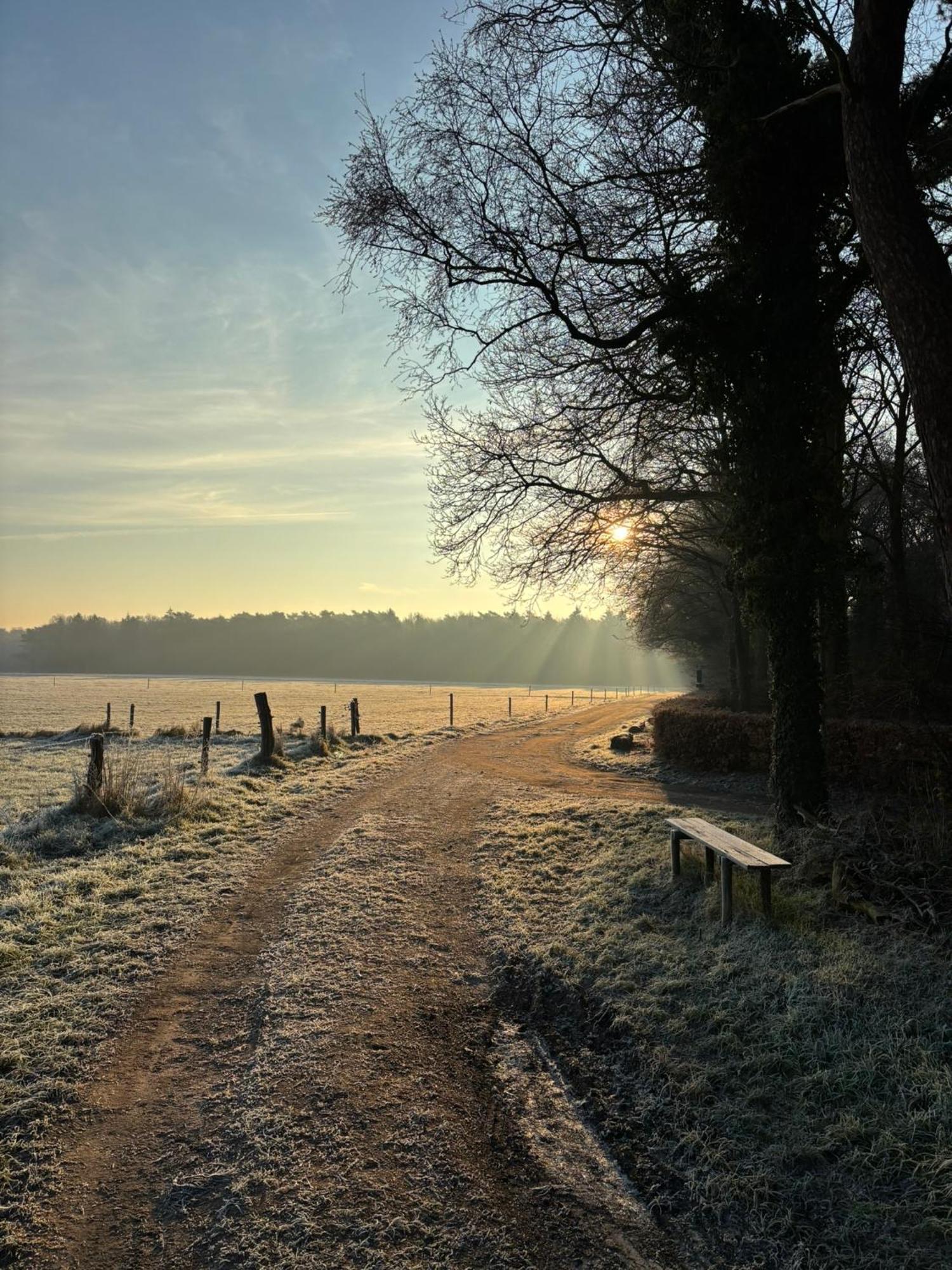 'T Holten Huus - Puur Genieten In Het Bos. Norg Exterior foto