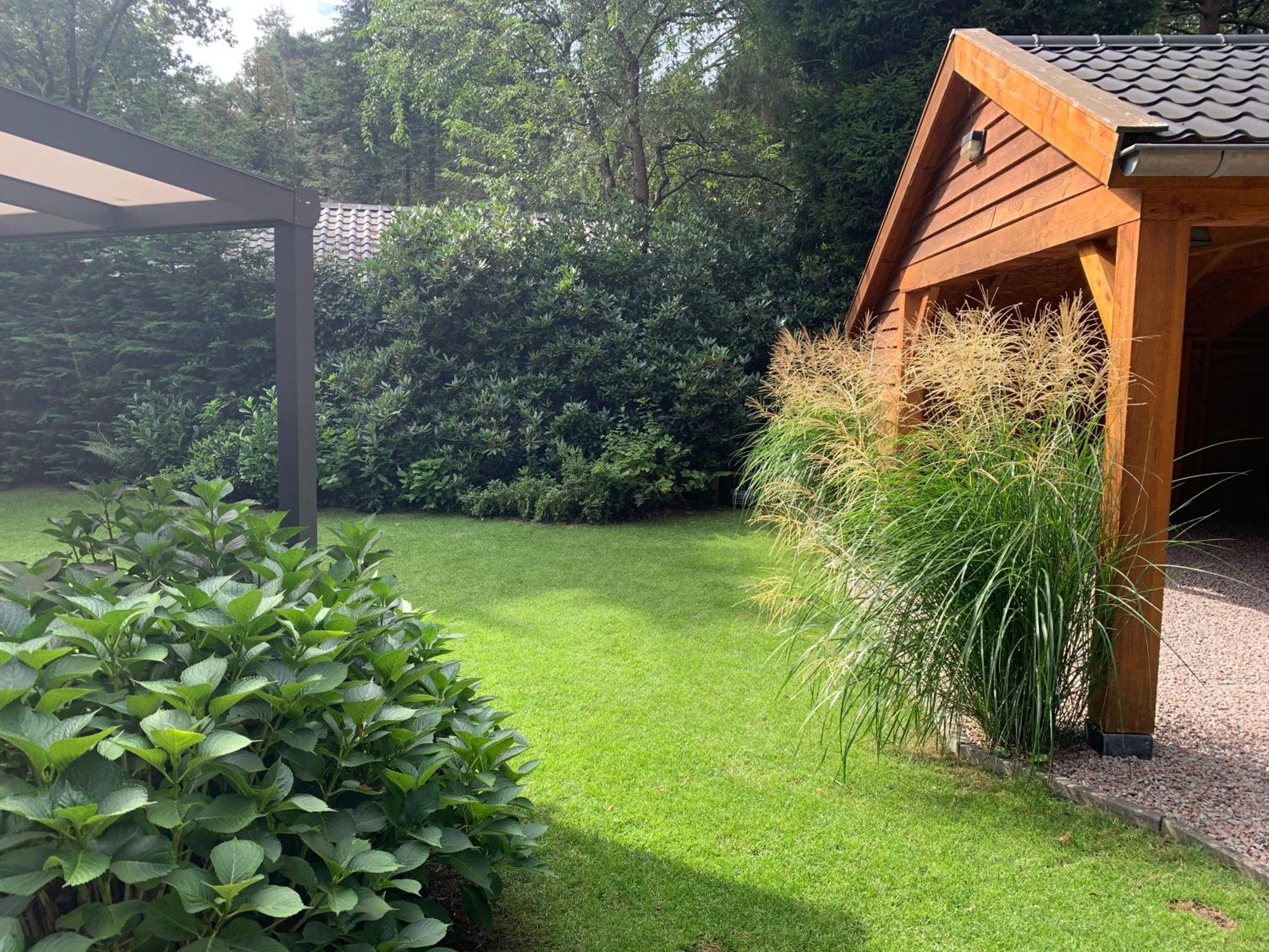 'T Holten Huus - Puur Genieten In Het Bos. Norg Exterior foto